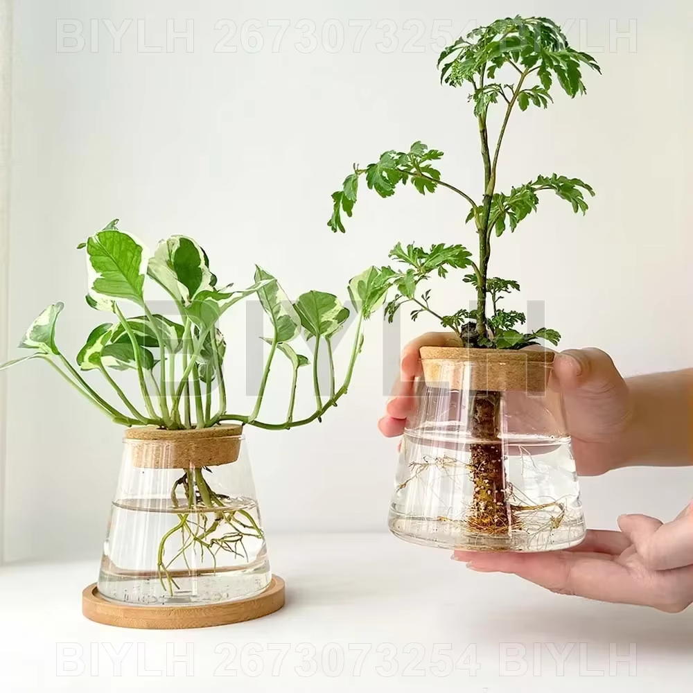 Volcanic Shape Glass Vase with Wooden Cap & Bamboo Base – Unique Hydroponic Flower Pot for Plants