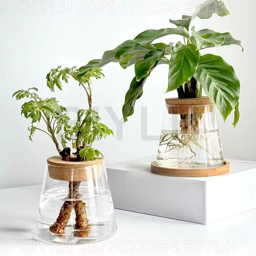 Volcanic Shape Glass Vase with Wooden Cap & Bamboo Base – Unique Hydroponic Flower Pot for Plants