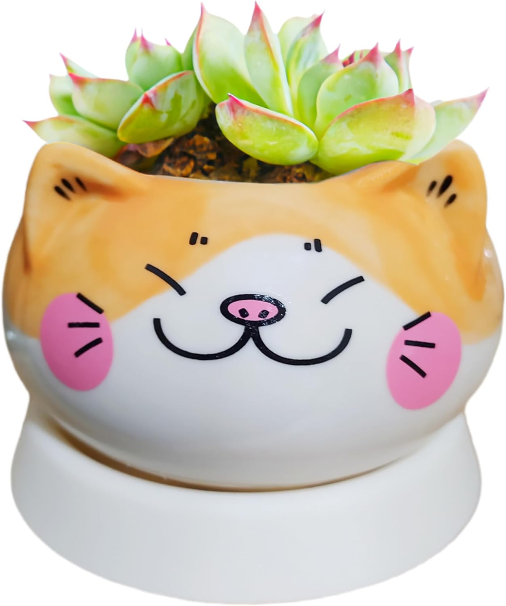 Adorable 3.5" Cartoon Cat Ceramic Succulent Pot with Bamboo Tray – Indoor Decor for Home, Office, and Garden (Yellow & Gray)