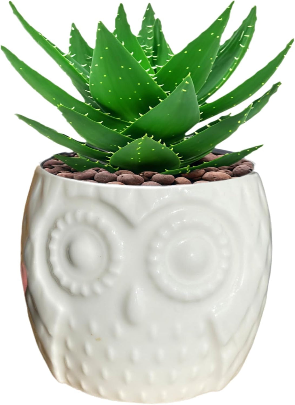Adorable Owl-Shaped Ceramic Succulent Pots - Perfect for Cacti & Air Plants (White)
