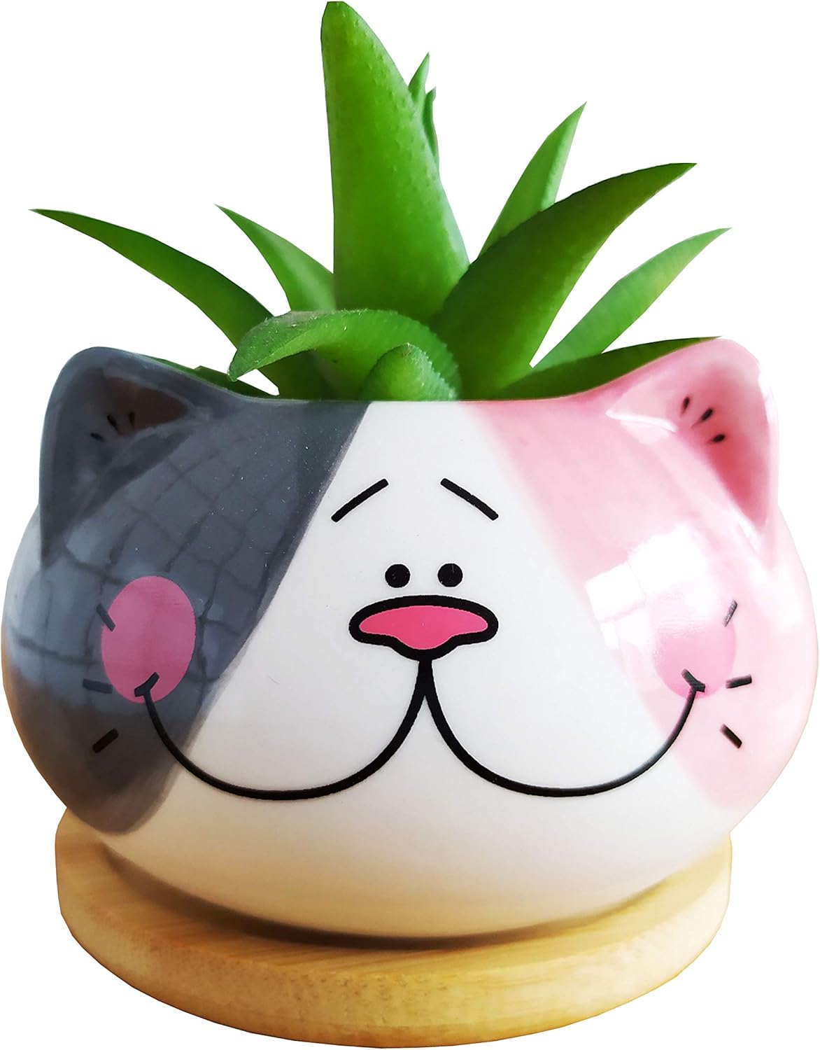 Adorable 3.5" Cartoon Cat Ceramic Succulent Pot with Bamboo Tray – Indoor Decor for Home, Office, and Garden (Yellow & Gray)