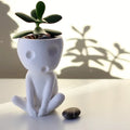 Adorable Kawaii Tree Elves Planter Pot - Perfect for Small Plants & Air Plants - Charming Indoor Flower Pot Holder