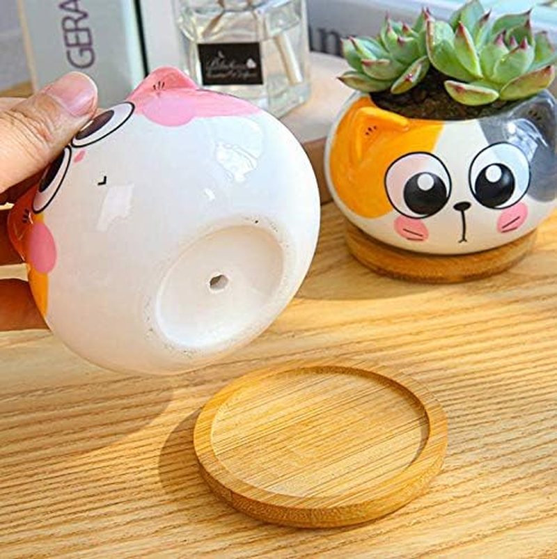 Adorable 3.5" Cartoon Cat Ceramic Succulent Pot with Bamboo Tray – Indoor Decor for Home, Office, and Garden (Yellow & Gray)