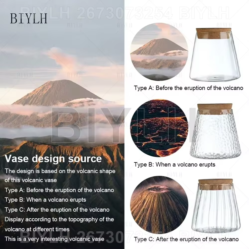 Volcanic Shape Glass Vase with Wooden Cap & Bamboo Base – Unique Hydroponic Flower Pot for Plants