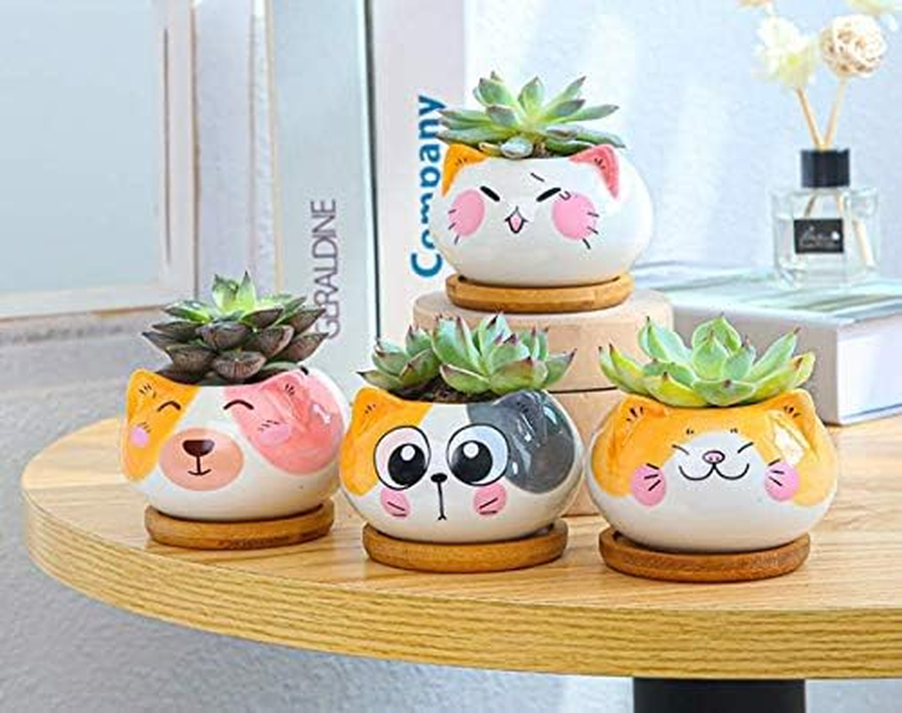 Adorable 3.5" Cartoon Cat Ceramic Succulent Pot with Bamboo Tray – Indoor Decor for Home, Office, and Garden (Yellow & Gray)