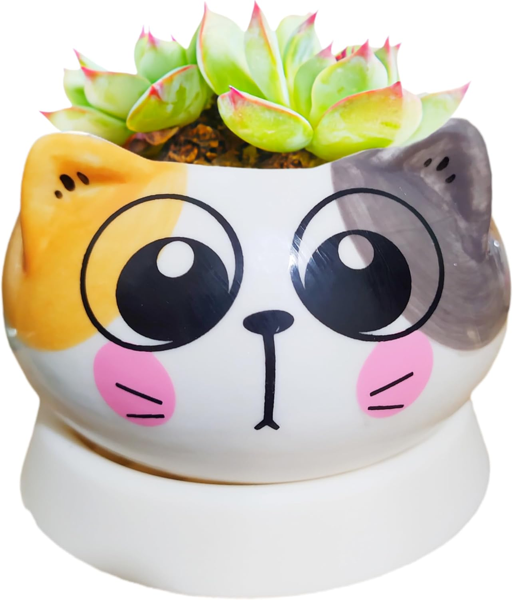 Adorable 3.5" Cartoon Cat Ceramic Succulent Pot with Bamboo Tray – Indoor Decor for Home, Office, and Garden (Yellow & Gray)