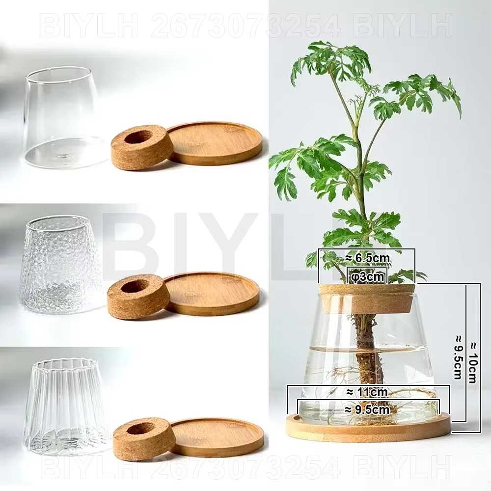 Volcanic Shape Glass Vase with Wooden Cap & Bamboo Base – Unique Hydroponic Flower Pot for Plants