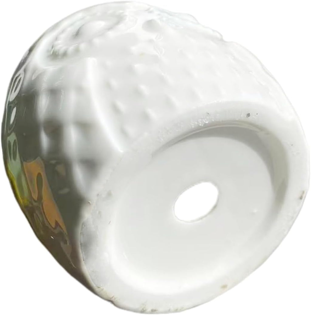 Adorable Owl-Shaped Ceramic Succulent Pots - Perfect for Cacti & Air Plants (White)