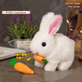 Exciting Interactive Hopping Bunny Toy - Musical Plush Rabbit that Jumps and Shakes Ears - Ideal Easter Gift for Kids!