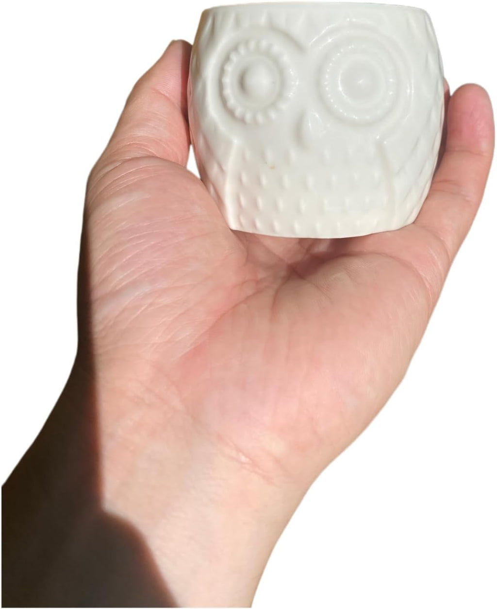 Adorable Owl-Shaped Ceramic Succulent Pots - Perfect for Cacti & Air Plants (White)